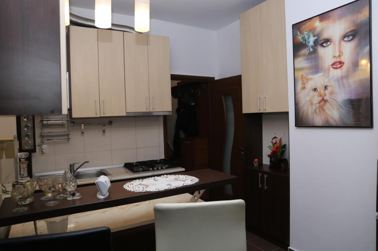 Balcescu Alina'S Apartament 시비우 외부 사진