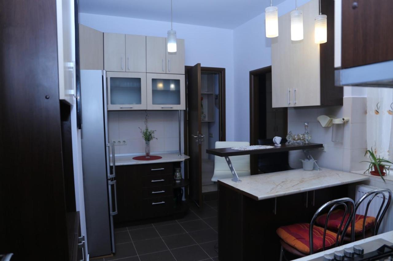 Balcescu Alina'S Apartament 시비우 외부 사진