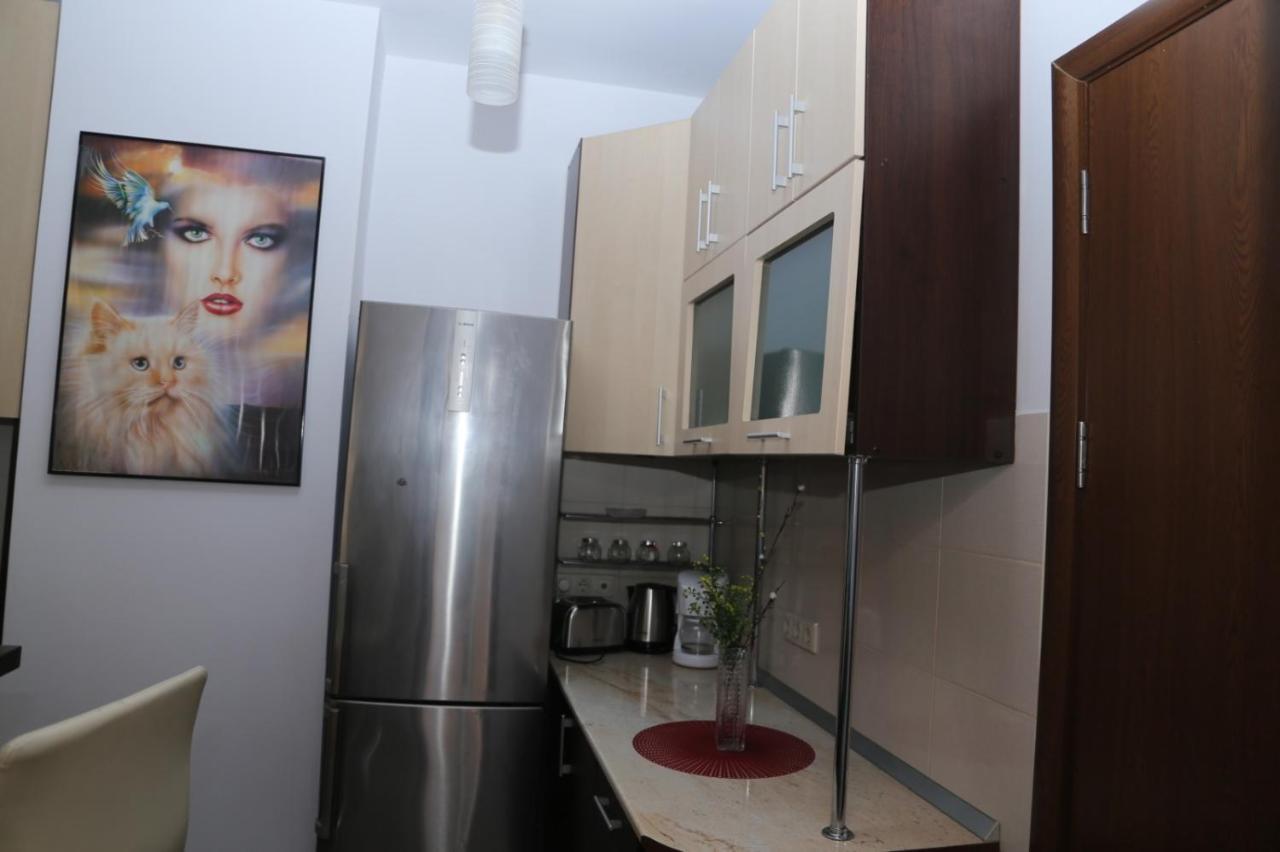 Balcescu Alina'S Apartament 시비우 외부 사진