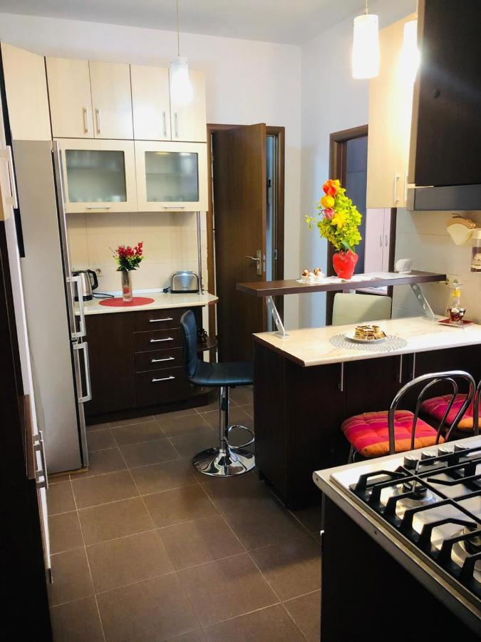 Balcescu Alina'S Apartament 시비우 외부 사진