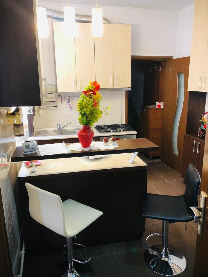 Balcescu Alina'S Apartament 시비우 외부 사진